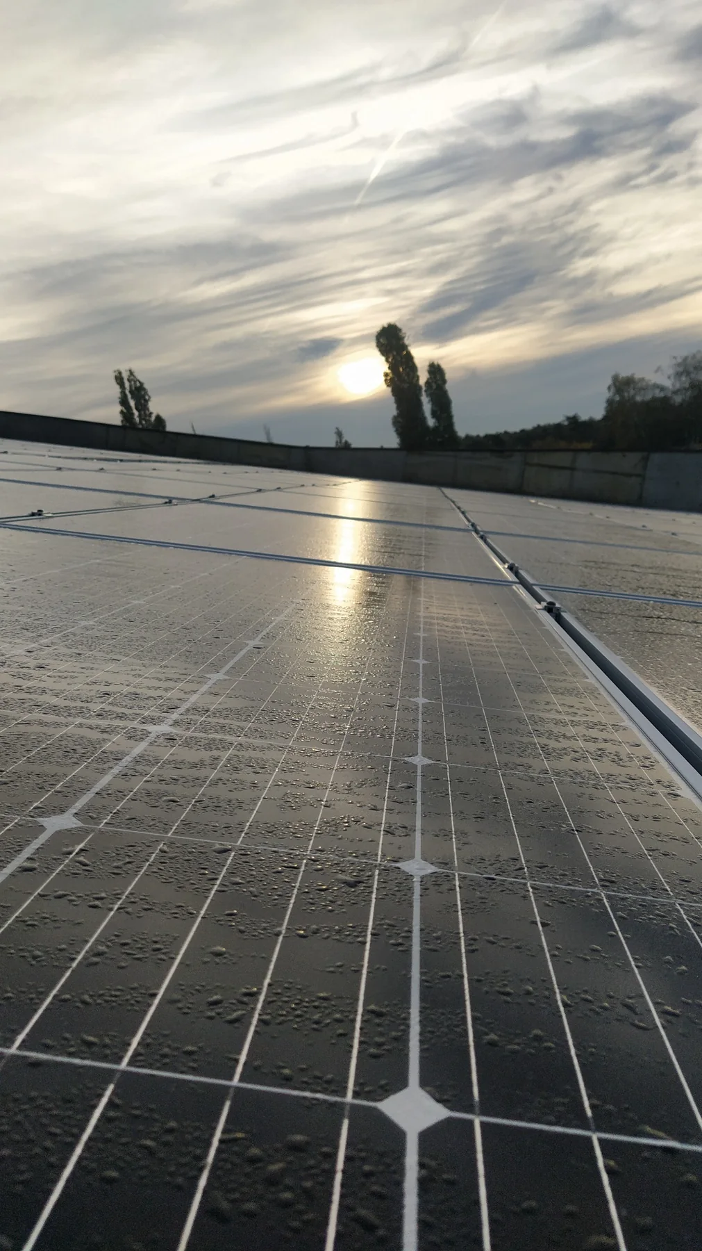 Photovoltaic panels reflecting evening sunlight